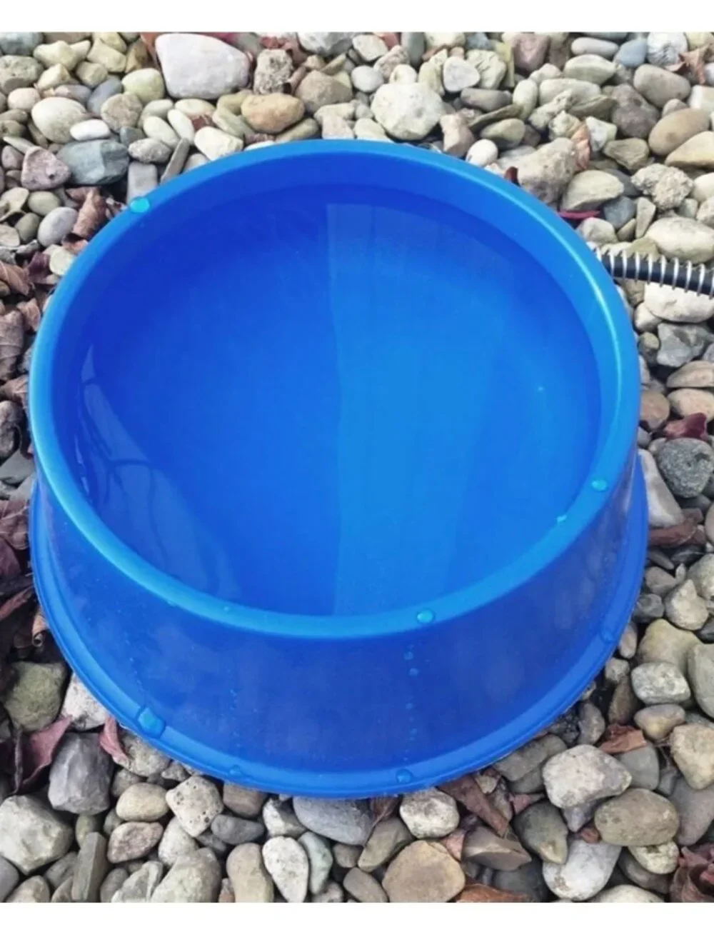 NIB - Farm Innovators Heated Pet Bowl - Blue - 1 Quart - 25 Watt Power